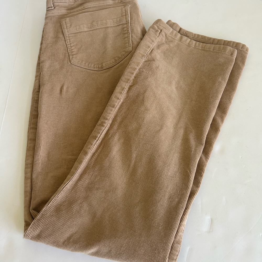 Patagonia Tan Straight Leg Pants